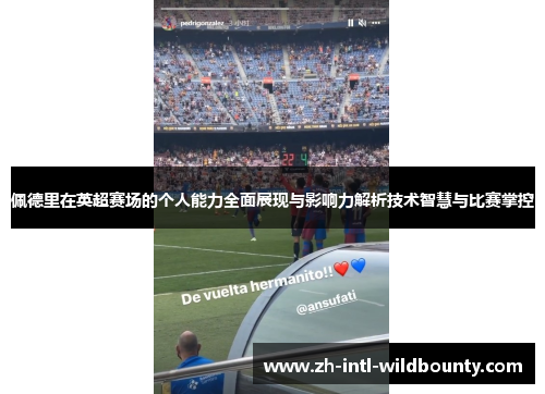 佩德里在英超赛场的个人能力全面展现与影响力解析技术智慧与比赛掌控
