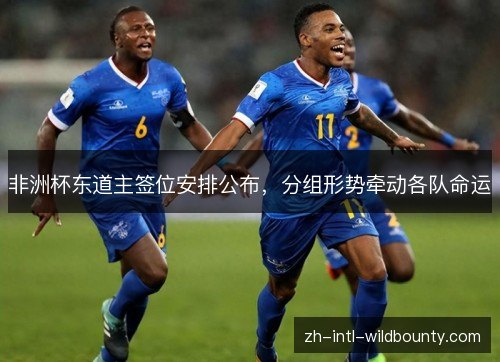 非洲杯东道主签位安排公布,分组形势牵动各队命运 非洲杯东道主签位安排公布,分组形势牵动各队命运